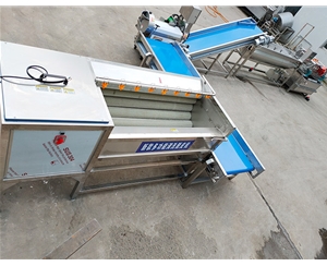 根莖類菜加工流水線